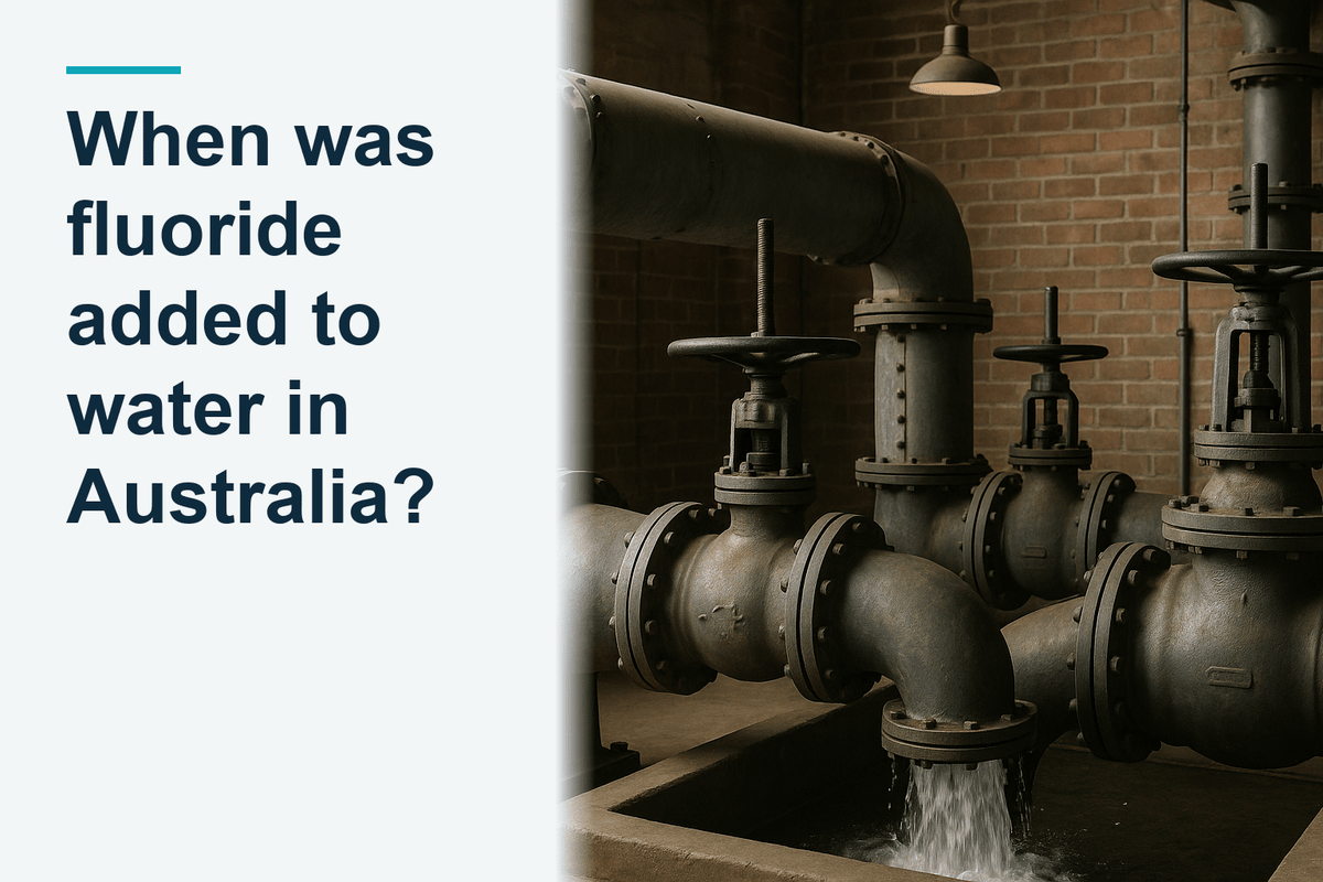 Mid-twentieth-century municipal waterworks pipework and valves, period municipal water infrastructure standing in service, australian municipal waterworks of th