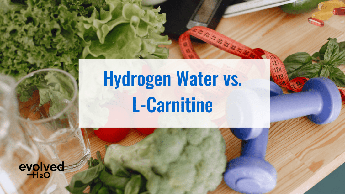 Hydrogen Water vs. L-Carnitine: Which Better Supports Health? Evolved H2O Hydrogen Water vs. L-Carnitine: Which Better Supports Health? Evolved H2O