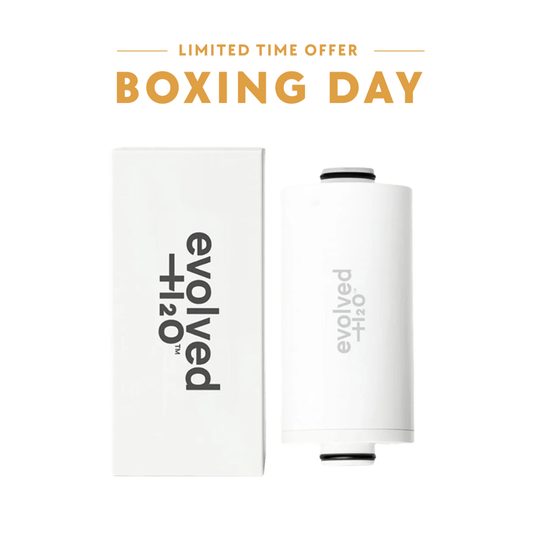 Evolved H2O Tap & Shower Filter Bundle Boxing Day