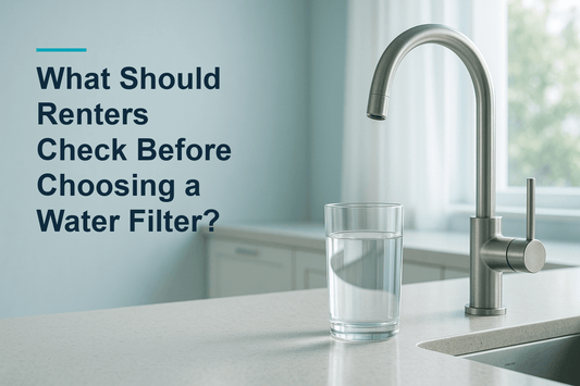 Blog cover image for an article about What Should Renters Check Before Choosing a Water Filter?.
