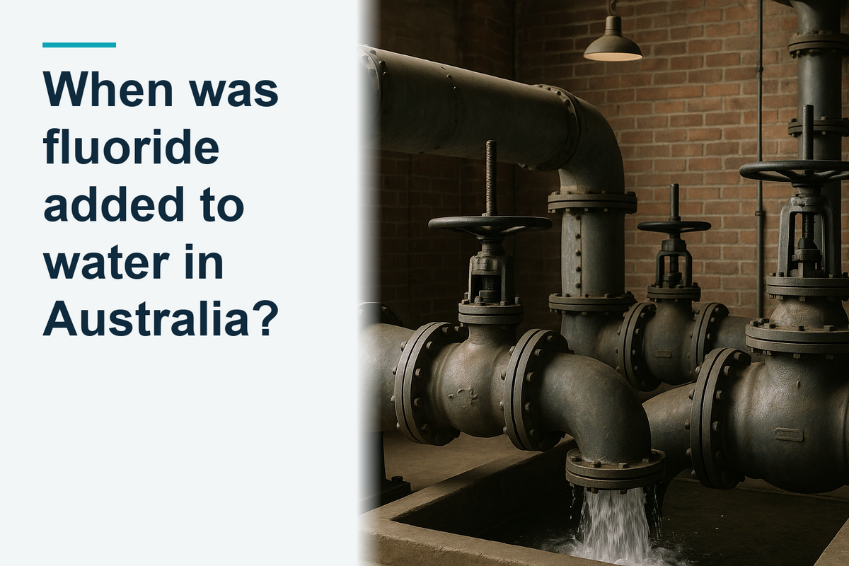 Mid-twentieth-century municipal waterworks pipework and valves, period municipal water infrastructure standing in service, australian municipal waterworks of th