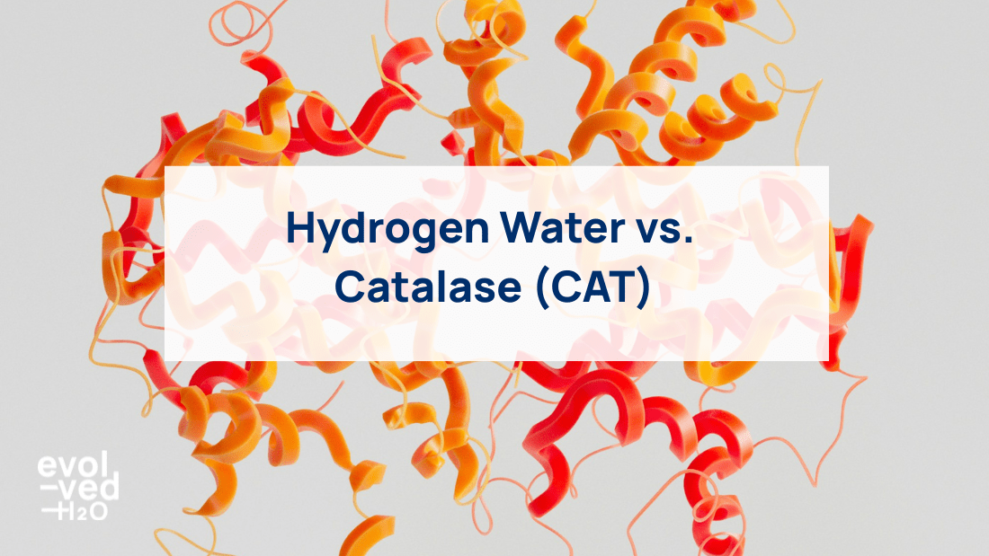 Hydrogen Water vs. Catalase (CAT)