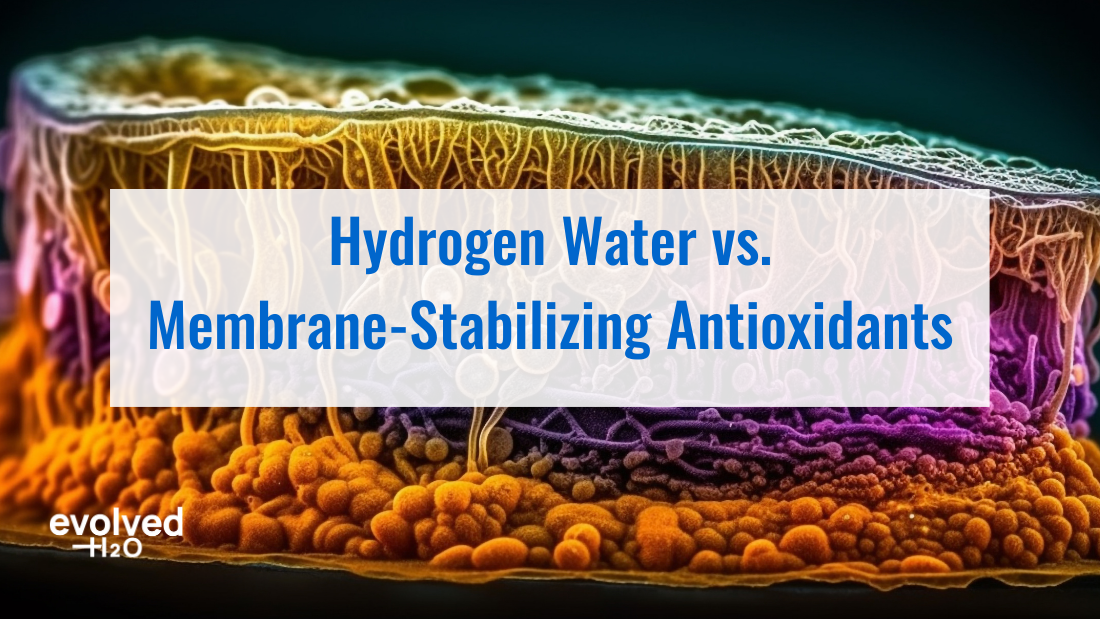 Hydrogen Water vs. Membrane-Stabilizing Antioxidants: Which Better Supports Cellular Health?