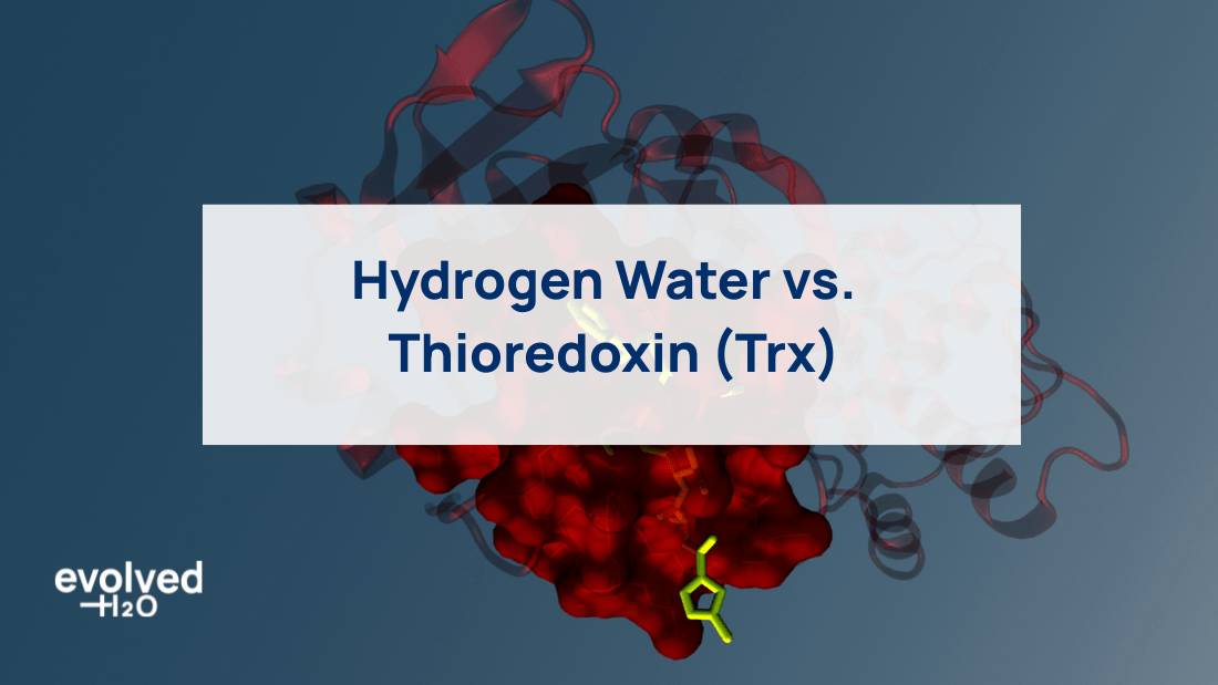 Hydrogen Water vs. Thioredoxin (Trx)