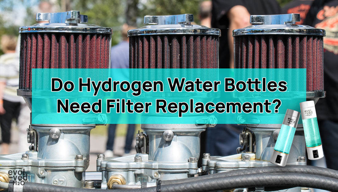 do hydrogen water bottles need filter replacements