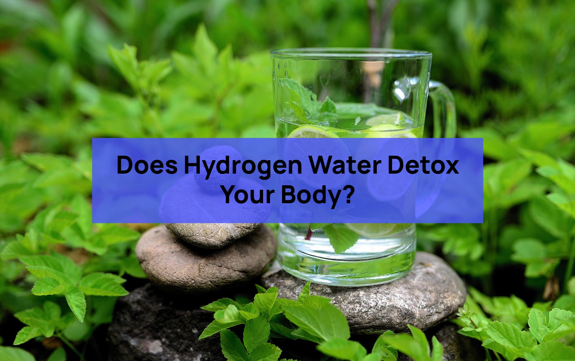 does hydrogen water detox your body