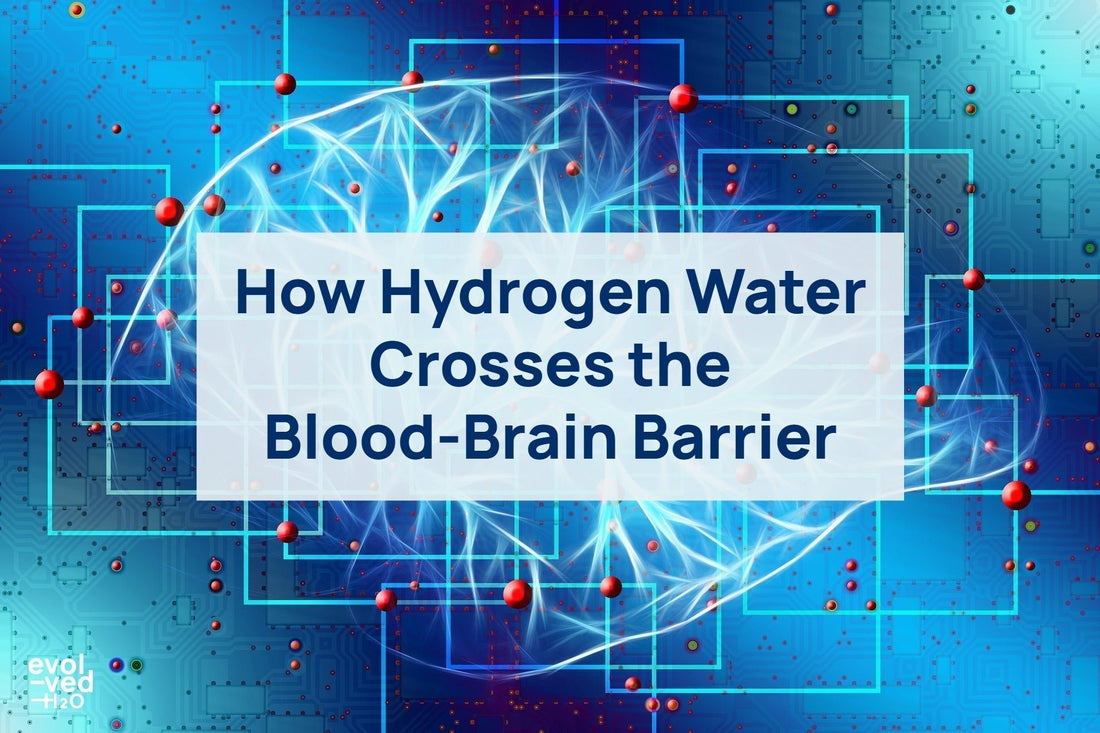 how hydrogen water crosses blood brain barrier