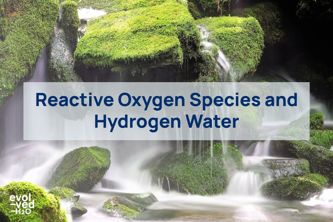 reactive oxygen species and hydrogen water