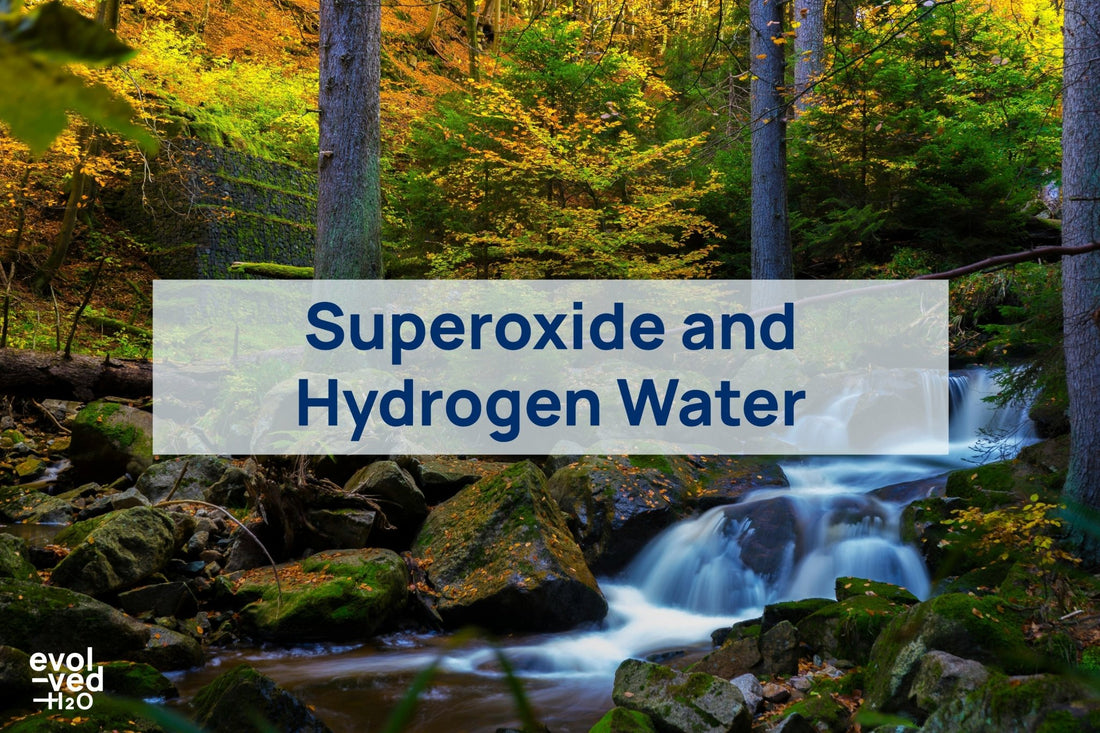 superoxide and hydrogen water