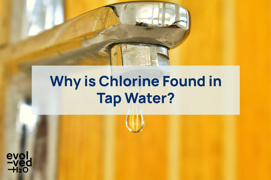 why is chlorine found in tap water