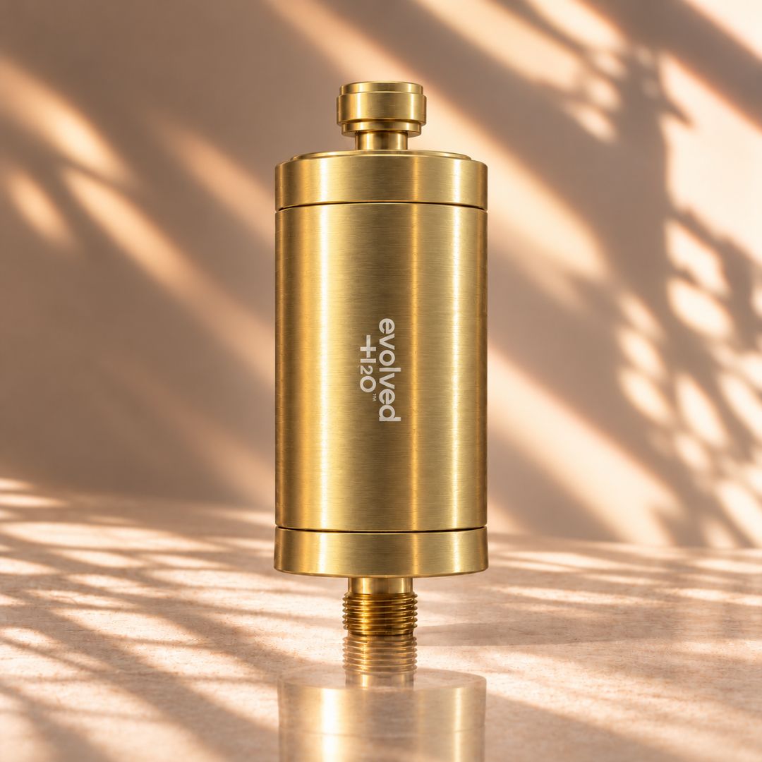 Evolved H2O gold stainless steel shower filter with threaded connections, shown in warm natural light