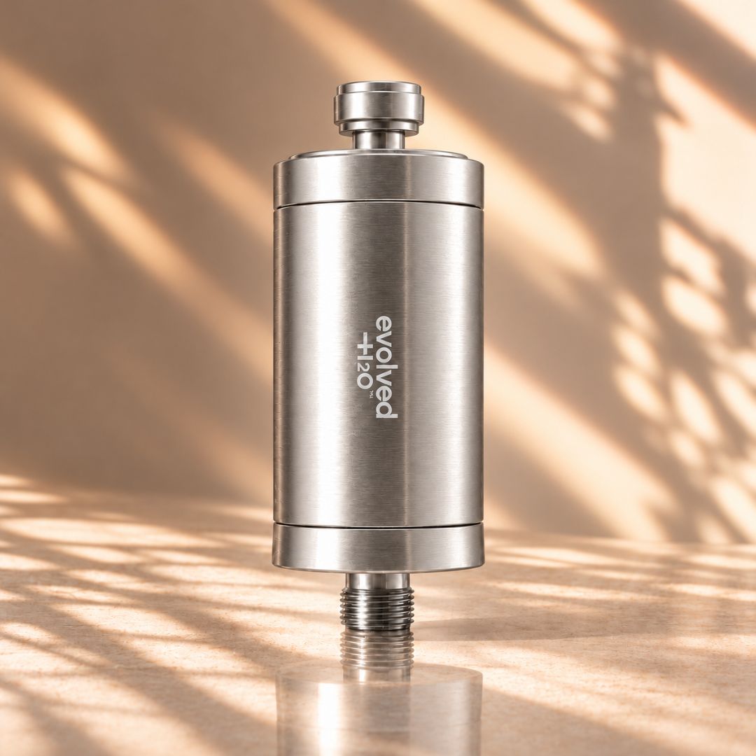 Evolved H2O stainless steel shower filter with threaded connections, shown in warm natural light