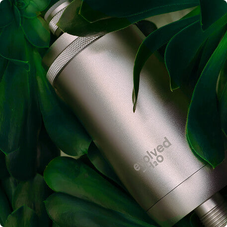 Evolved H2O shower filter surrounded by lush green leaves for a natural vibe