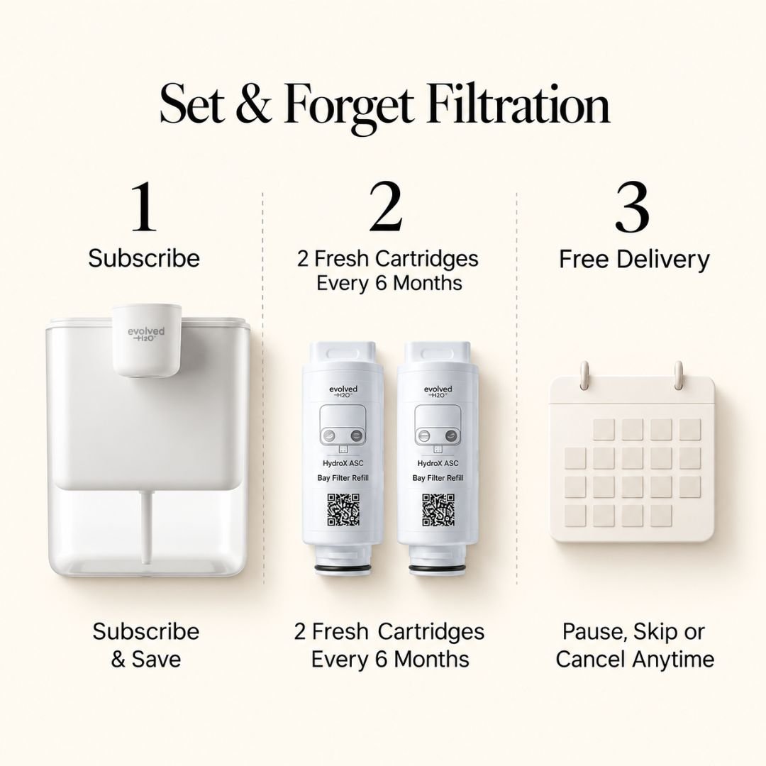 Evolved H2O HydroX subscription showing two fresh replacement cartridges delivered every 6 months with free delivery and flexible pause, skip or cancel options