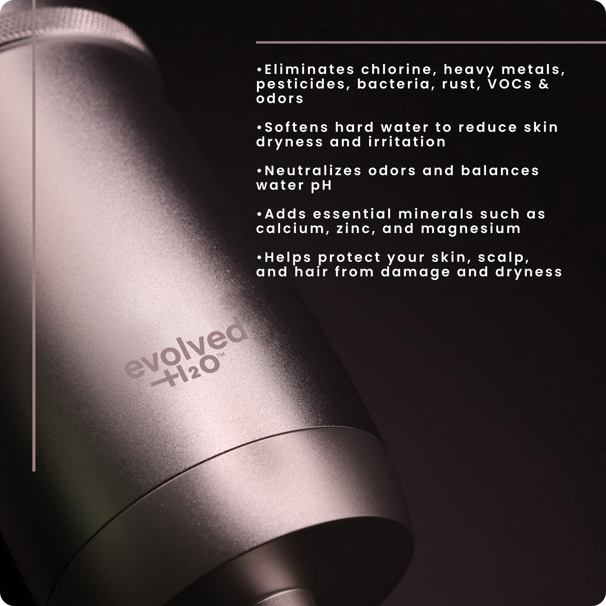Premium stainless steel Evolved H2O Shower Filter with logo close-up