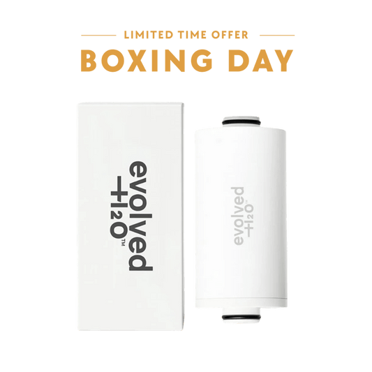 Evolved H2O Tap & Shower Filter Bundle Boxing Day