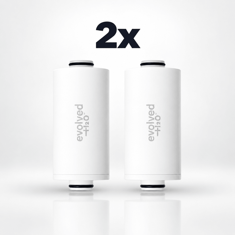 Shower Filter Refill 2x