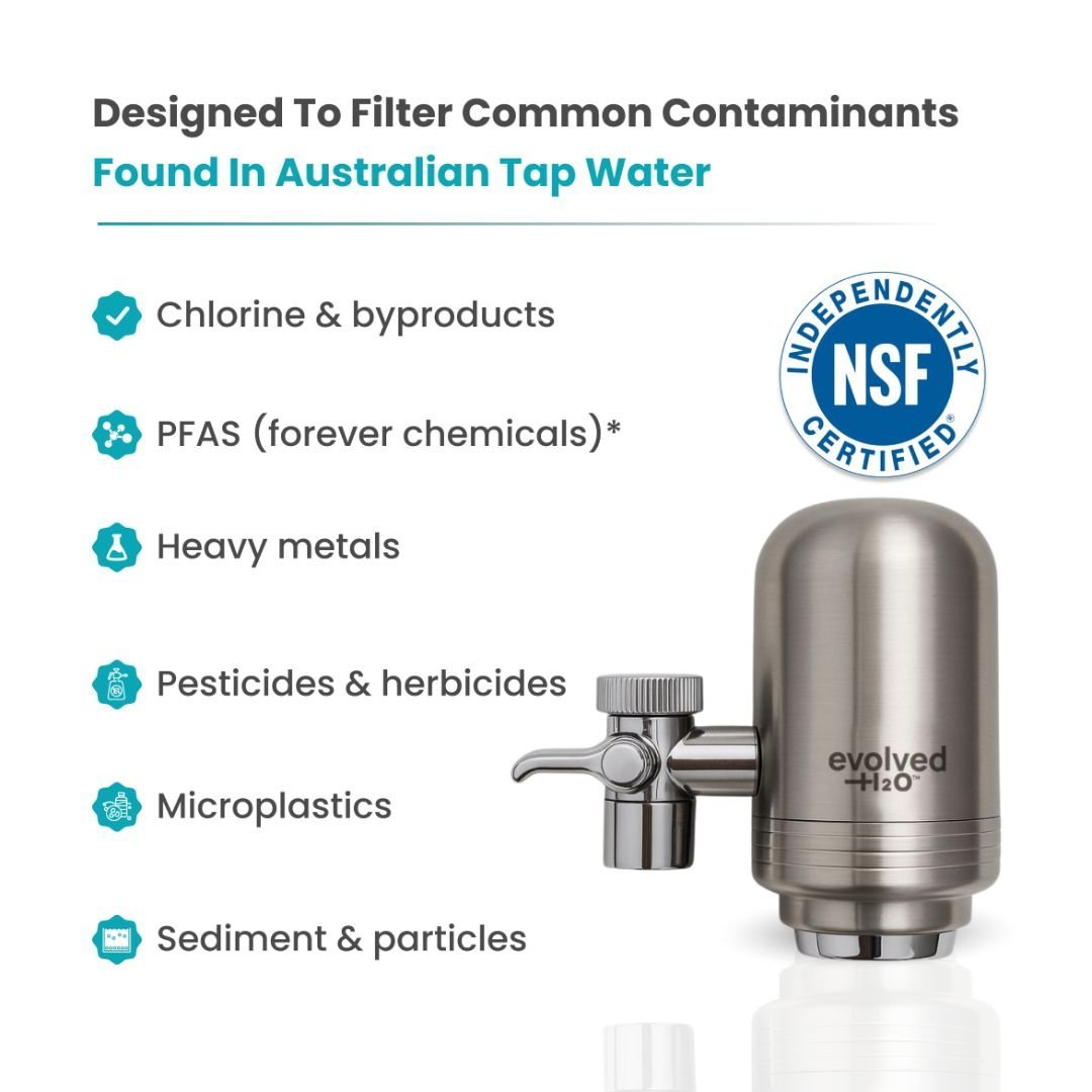 Stainless steel faucet water filter with chlorine and impurity reduction features