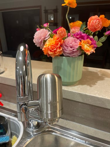 Customer photo of the Evolved H2O tap filter from Antoinette S.'s review