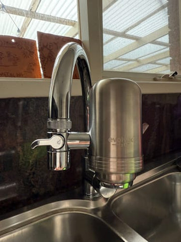 Customer photo of the Evolved H2O tap filter from Natasha C.'s review