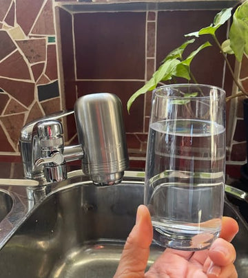 Customer photo of the Evolved H2O tap filter from Samantha A.'s review