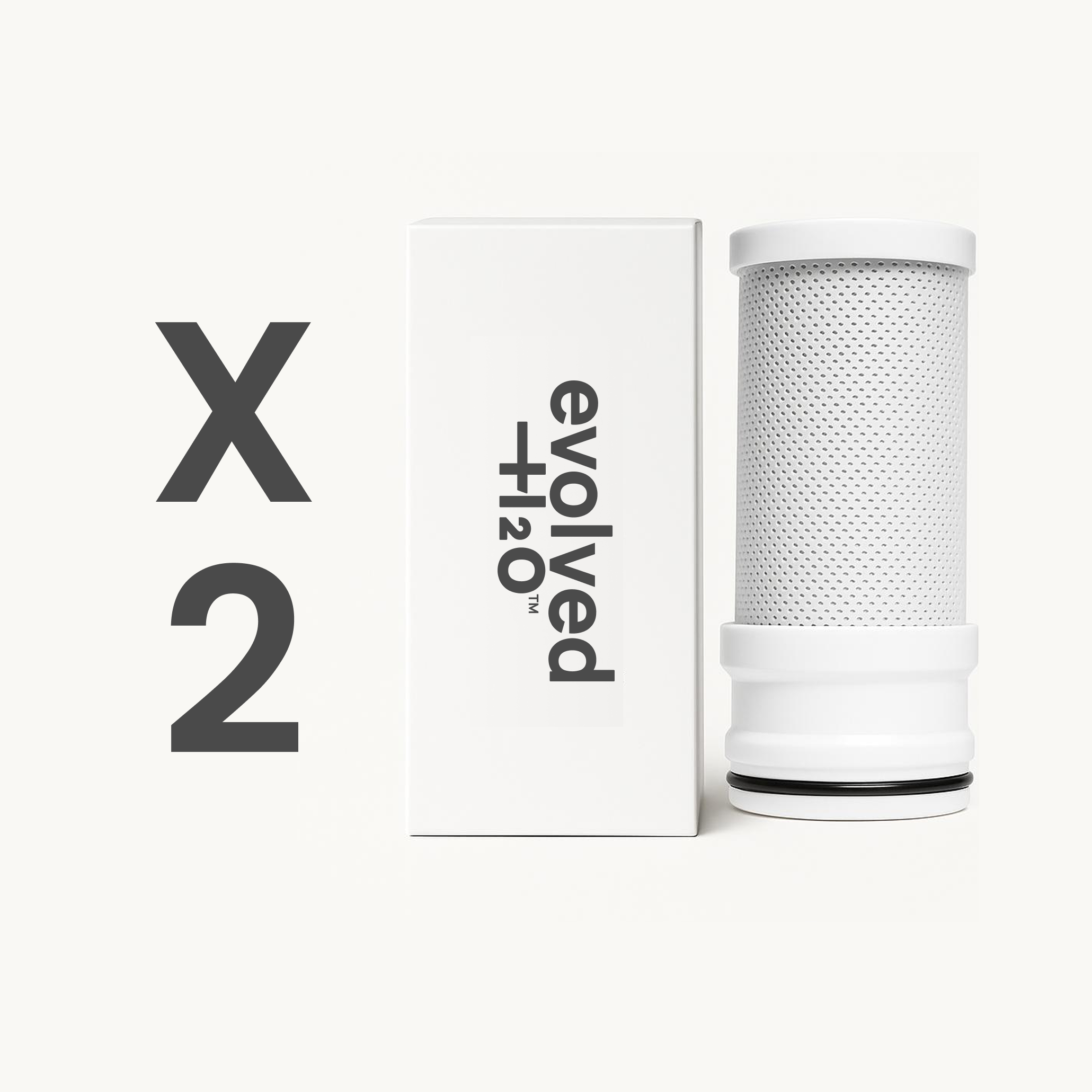 Two Evolved H2O replacement filter cartridges-2-pack on white background.
